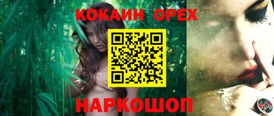 стаф Будённовск